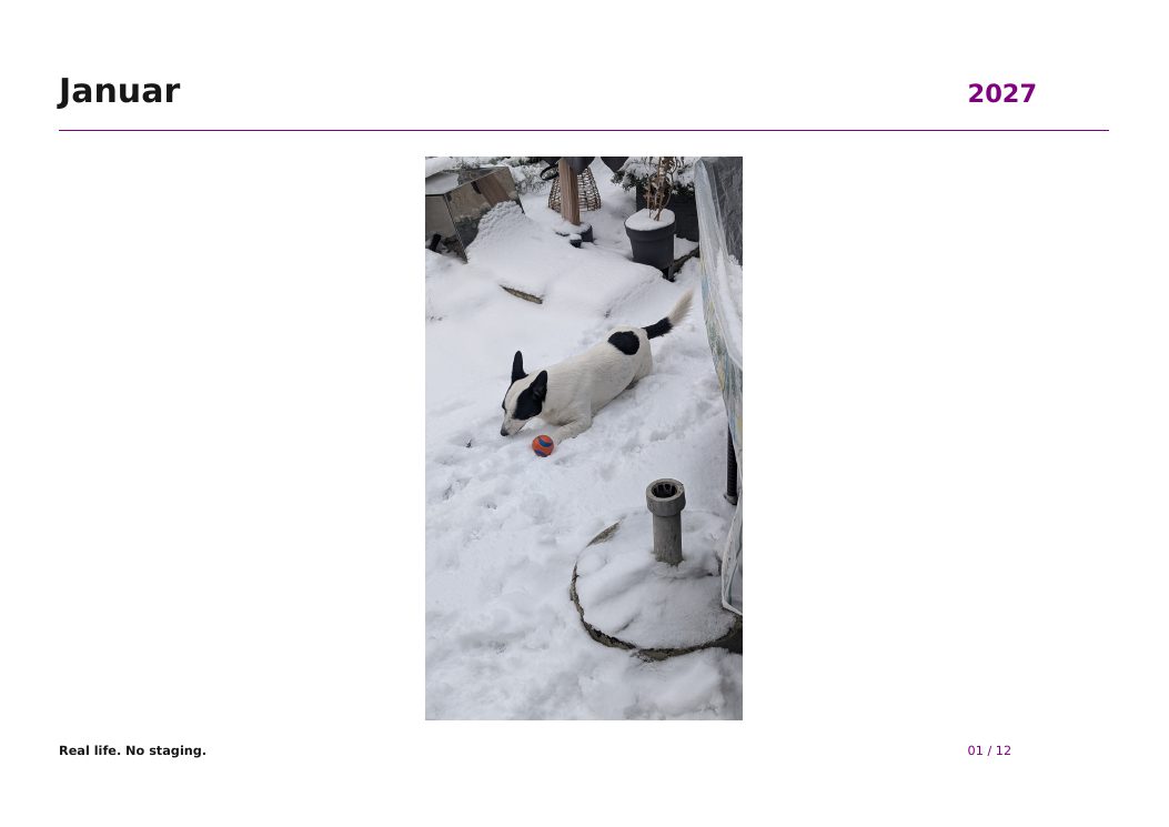 Januarseite: Eddie im Schnee mit seinem Ball
