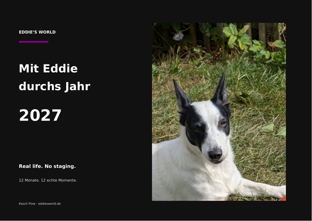 Titelseite des Kalenders Mit Eddie durchs Jahr 2027 mit Eddie im Gras